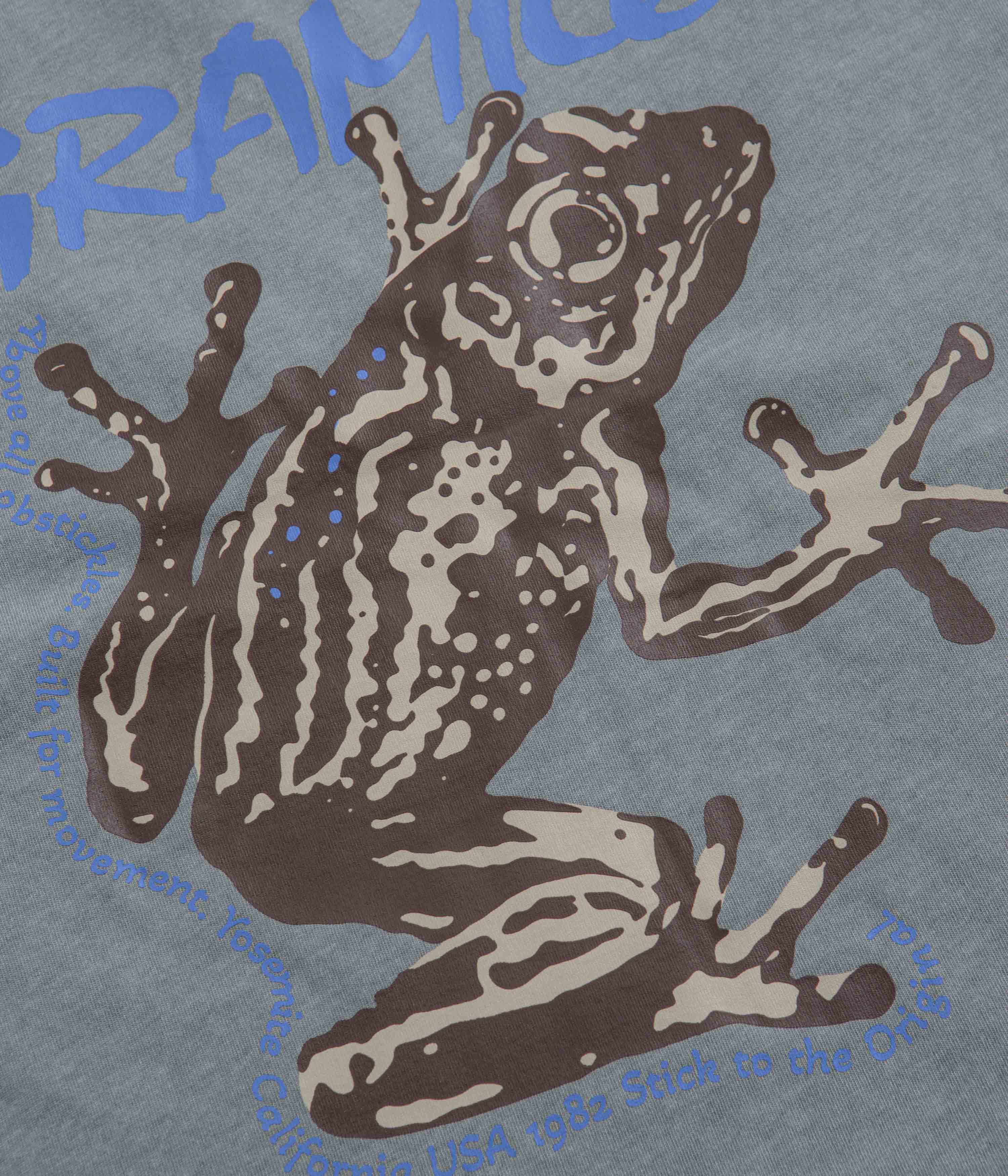 Gramicci Sticky Frog T-Shirt, Slate Pigment