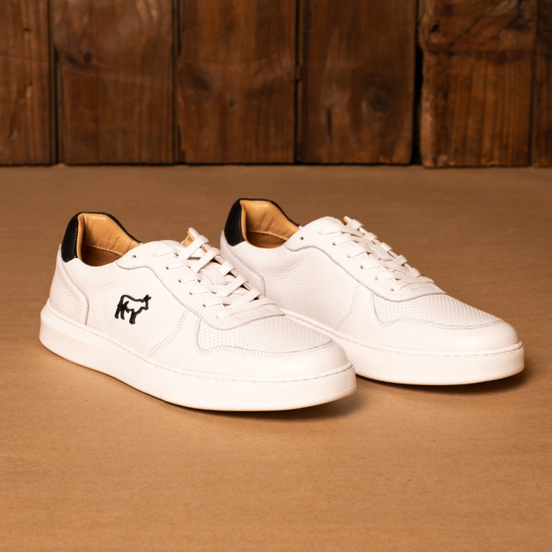 Kingsley Heath White Black White Ace Sneaker