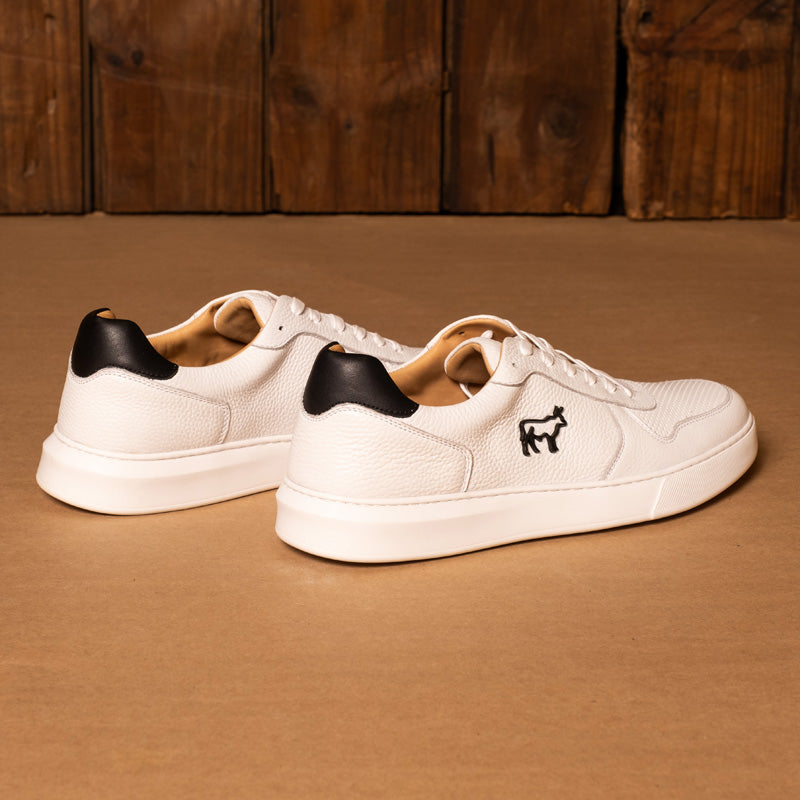 Kingsley Heath White Black White Ace Sneaker