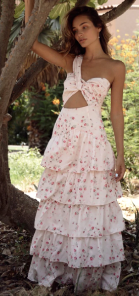 Rose Petal Dress